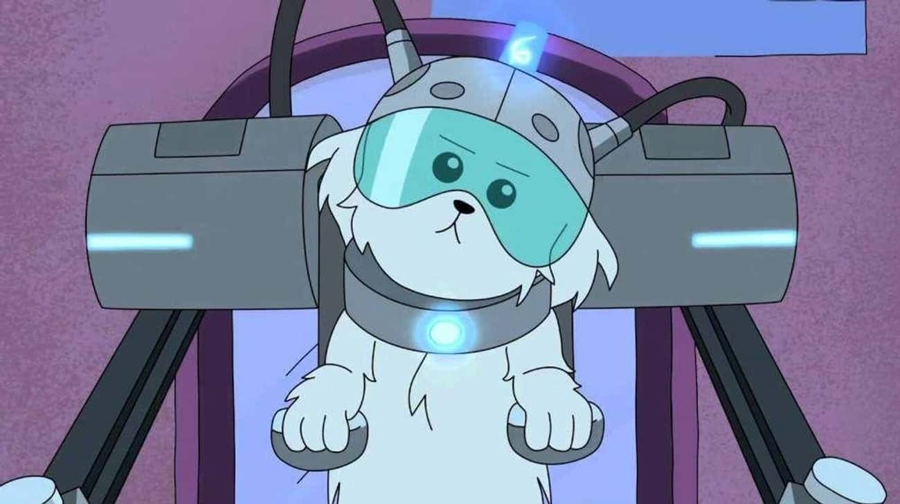 'Lawnmower Dog' Is A Shout-Out To Roiland's Failed Cartoon Network Show