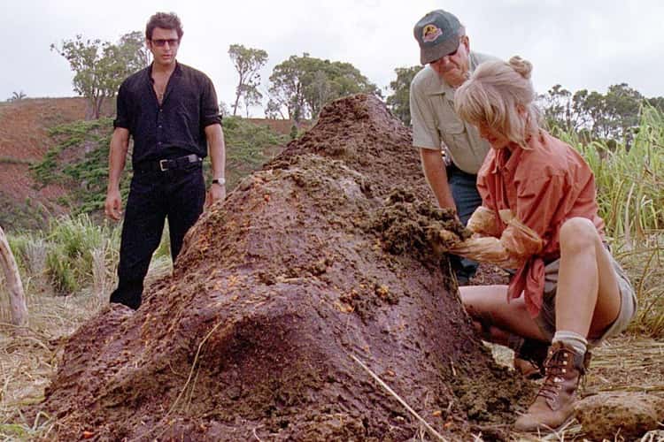 The Triceratops Poop Was Covered In Honey To Attract Flies