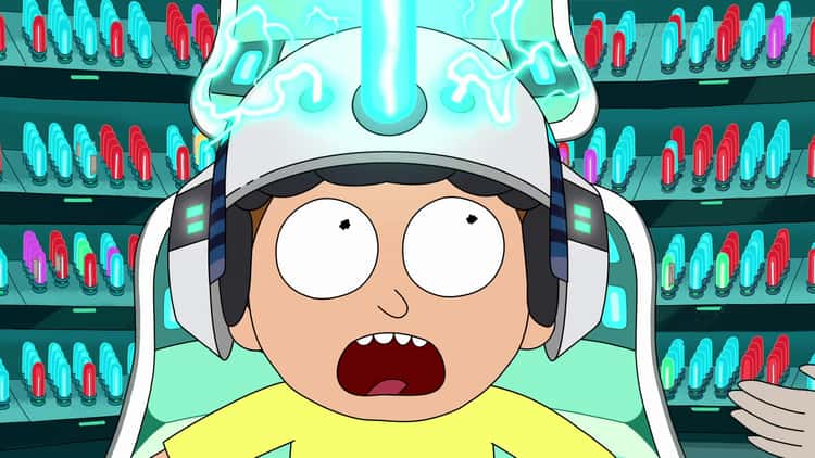 Systematically Wiped Morty’s Memories And Stored Them In A Secret Lab