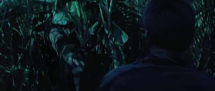 The Tiger In 'Apocalypse Now' Got Loose On A Plane And Forced The Pilot To Climb Out His Window