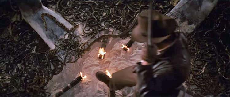 Stanley Kubrick's Daughter Shut Down 'Raiders of the Lost Ark' After Reporting Spielberg For Snake Abuse