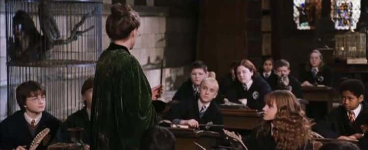 A Monkey Masturbated Near Daniel Radcliffe And A Bat Peed On Rupert Grint On 'Harry Potter'