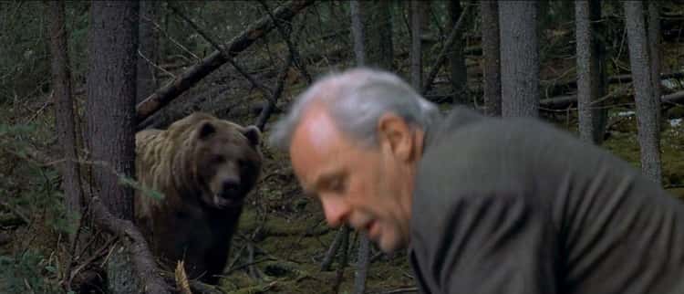 Bart The Bear Ate Garlic Pasta And A Whole Chicken Before Scenes And Stunk Up Anthony Hopkins While Filming 'The Edge'