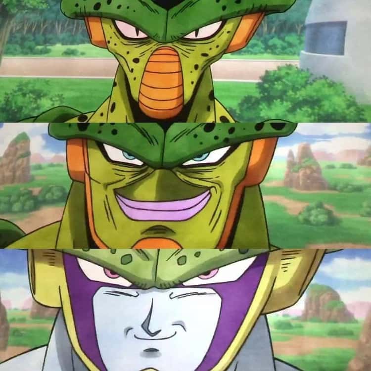 Cell's Extra Forms Were Created Thanks To Negative Feedback