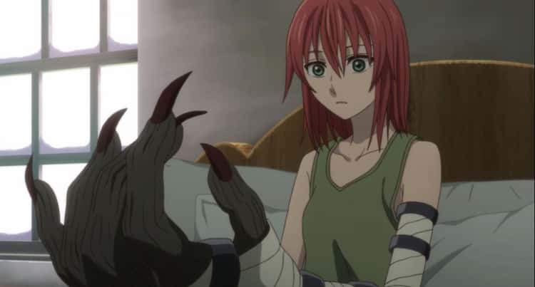 Chise Hatori Survived Two Curses In 'The Ancient Magus' Bride'
