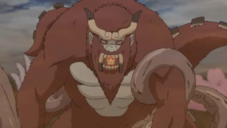 The Four-Tailed Jinchuriki Is A DBZ Reference 