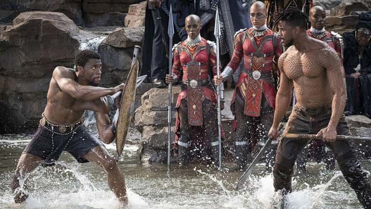 T'Challa Fighting For The Crown In 'Black Panther'