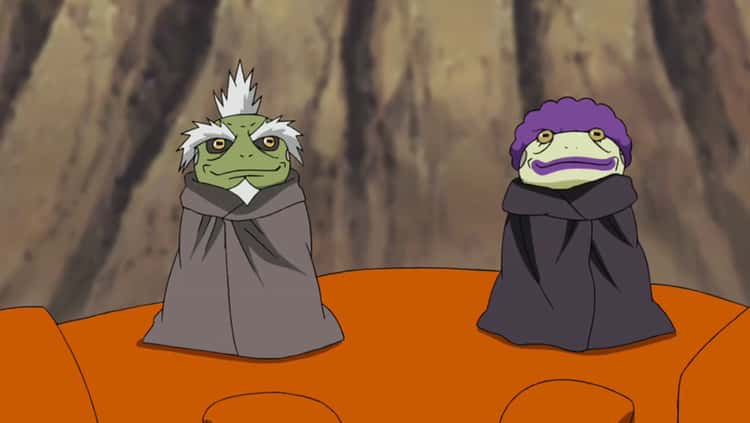 The Two Great Sage Toads