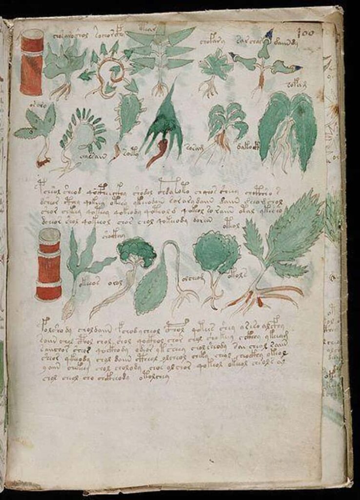The Cracking Of The Voynich Manuscript Revealed The Contents Of A Plagiarized Guide To Women's Health 